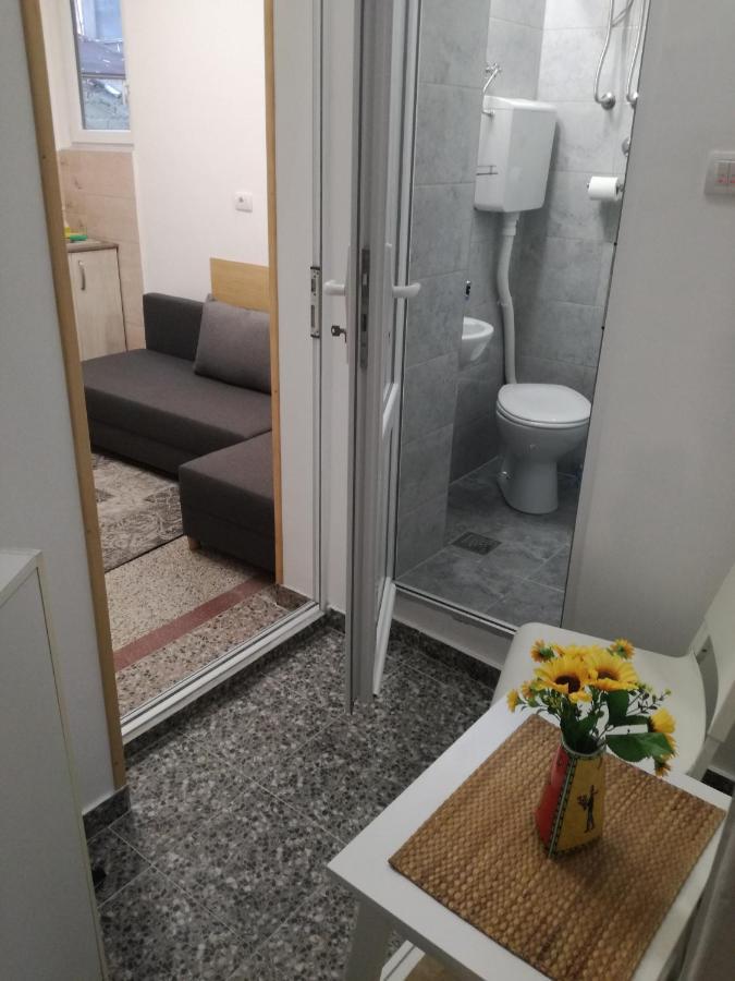 דירות בלגרד Mini Studio - One Traveler מראה חיצוני תמונה